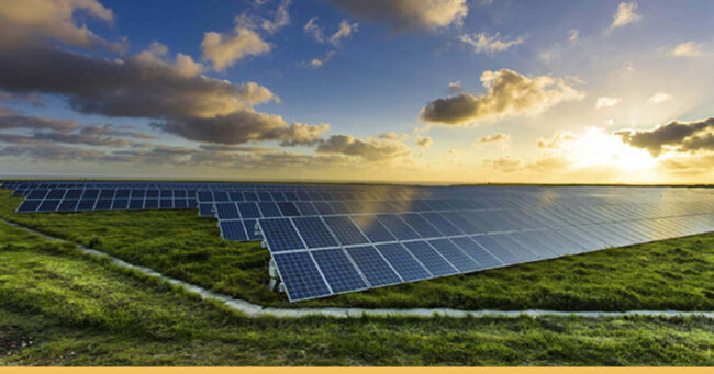 sali-dikili-belediyesi-armin-yd